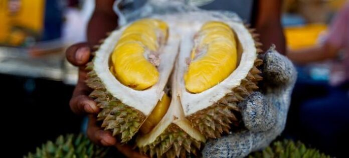 durian-708.jpg