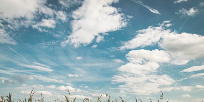 field-corn-air-frisch-158827.jpeg