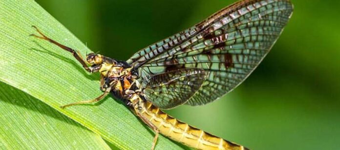 345919.jpg