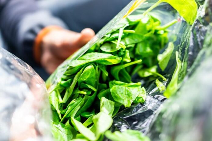 Salad-bag.jpg