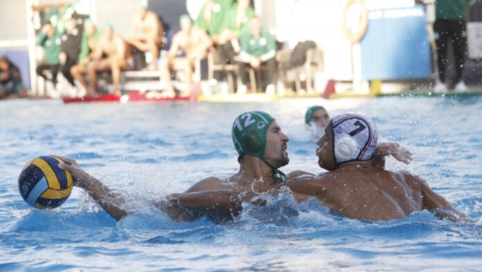 panathinaikoswaterpolo-49a79-1.jpg