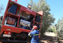 Φωτιά στο Μακρυχώρι Λάρισας: Επίγειες δυνάμεις στο σημείο