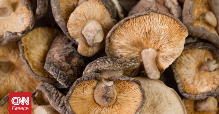 7a4c0a34-shiitake-mushrooms-devmaryna-freepik-og.jpg