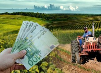 Τα κεντρικά αιτήματα των αγροτών – Πίεση για άμεσες και ουσιαστικές λύσεις