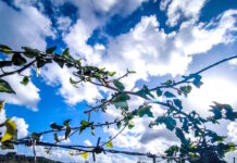 Καιρός σήμερα: Λιακάδα με τοπικές νεφώσεις – Δεν ξεπερνά τους 19 βαθμούς η θερμοκρασία