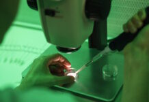 Επτά κλινικές στην Ελλάδα έλαβαν το σπέρμα του Δανού δότη με το γονίδιο καρκίνου – Εντοπίστηκαν 4 περιπτώσεις φορέων