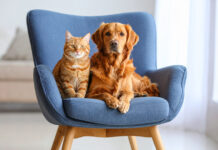 Υπέροχα σκυλάκια και γατιά μέχρι που σου παίρνουν τη μπουκιά από το στόμα (κυριολεκτικά)