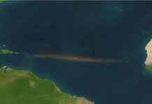 Μια καφέ λωρίδα 8.000 χιλιομέτρων απλώνεται στον Ατλαντικό και προκαλεί ανησυχία