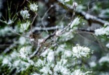 Καιρός σήμερα: Ήλιος με δόντια, βροχές και χιόνια στα ορεινά