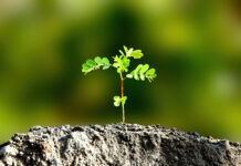 Οι εποχές είναι εκτός «ρυθμού» και οι επιστήμονες το επιβεβαιώνουν