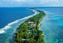 Ακόμα και στα απομονωμένα νησιά του Ειρηνικού, τα ψάρια είναι γεμάτα μικροπλαστικά