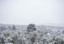 Καιρός: Κρύο, χιόνια και θυελλώδεις άνεμοι μέχρι το μεσημέρι της Δευτέρας – Έκτακτο δελτίο επιδείνωσης καιρού