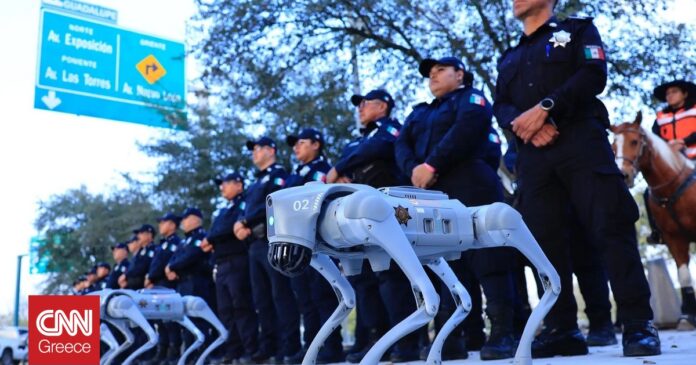 06fd5615-robot-dogs-mexico-1-og.jpg