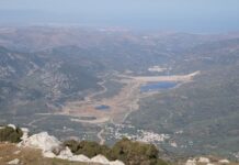 Απίστευτη οικολογική καταστροφή σε υγροβιότοπο της Χερσονήσου – Πεθαίνουν ψάρια και πουλιά