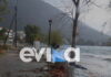 Εύβοια: Δεκάδες καταστροφές από την κακοκαιρία – Δρόμοι και πεζοδρόμια έγιναν ποτάμια, δέντρο ξεριζώθηκε και έπεσε