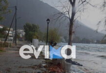 Εύβοια: Δεκάδες καταστροφές από την κακοκαιρία – Δρόμοι και πεζοδρόμια έγιναν ποτάμια, δέντρο ξεριζώθηκε και έπεσε