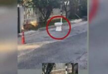 Γέρακα: Κρατούσαν θέση πάρκινγκ με λεκάνη τουαλέτας