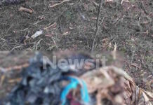 Χαλκιδική: Βρέθηκε σακούλα με ανθρώπινα οστά – «Ήταν μέσα σε βαλίτσα» περιγράφει ο πρόεδρος του Πευκοχωρίου που την βρήκε