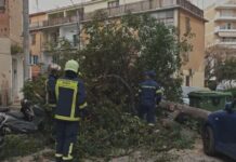 Κακοκαιρία: Έπεσαν δέντρα στην Αττική από τους ισχυρούς ανέμους – Σε συναγερμό η Πυροσβεστική σε 5 περιοχές