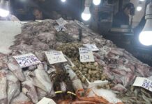 Καθαρά Δευτέρα: Στα 22 ευρώ τα καλαμαράκια, πάνω από 3,30 η λαγάνα – Οι ώρες λειτουργίας για Βαρβάκειο και Ρέντη