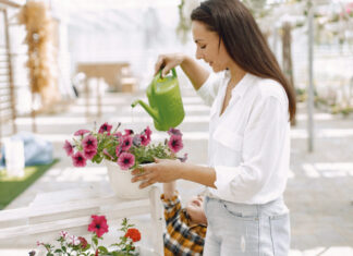 Οι ειδικοί στην κηπουρική συμφωνούν: Αυτή είναι η καλύτερη ώρα της ημέρας για να ποτίζετε τα φυτά σας