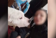 Κολωνός: Αναπάντητα ερωτήματα για την 31χρονη έγκυο που βρέθηκε νεκρή – Βασικός ύποπτος ο σύντροφός της