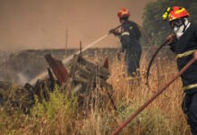 Φωτιά στη Σητεία, 30 πυροσβέστες και 2 ομάδες δασοκομάντο στη μάχη με τις φλόγες