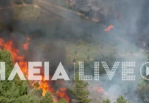 Φωτιά στην Ηλεία: Διπλό μέτωπο στην περιοχή Ελαιώνας