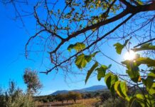 Καιρός σήμερα: Στους 19 βαθμούς η θερμοκρασία με ισχυρούς ανέμους στο Αιγαίο