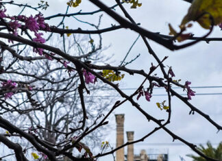 Καιρός σήμερα: Άνοδος της θερμοκρασίας και συννεφιά σε Αττική και Θεσσαλονίκη – Βροχές στα δυτικά