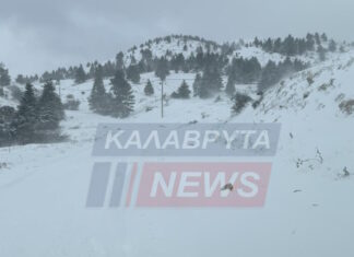 Καλάβρυτα: Οδηγοί εγκλωβίστηκαν στα χιόνια, επί τόπου μηχανήματα της Πολιτικής Προστασίας