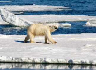 Η βιομηχανία ορυκτών καυσίμων πιέζει την ΕΕ για γεωτρήσεις στην Αρκτική