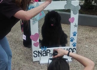 Παγκράτι: Ουρές από σκύλους για να βγάλουν το καλύτερο κλικ σε δωρεάν φωτογράφιση στην πλατεία Βαρνάβα