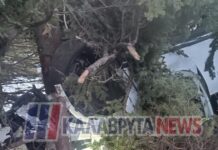 Νεαρή οδηγός καρφώθηκε σε δέντρο στα Καλάβρυτα: Άμορφη μάζα το αυτοκίνητο, σώθηκε από θαύμα – Δείτε εικόνες