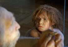 H περίπτωση του υπερφυσικού μπεμπέ – Τα μωρά των Νεάντερταλ ήταν γιγάντια