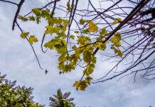 Καιρός αύριο: Κυριακή του Πάσχα με λίγη συννεφιά και τοπικές βροχές