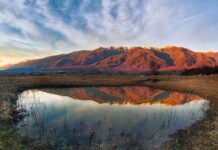 Περιβαλλοντικές οργανώσεις κατά ΥΠΕΝ για την πολεοδόμηση σε περιοχές Natura