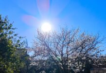 Καιρός σήμερα: Τοπικές βροχές, συννεφιά και 30αρια