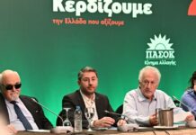 Ανδρουλάκης στην επιτροπή Διεύρυνσης: Το πρόγραμμα του ΠΑΣΟΚ θα κάνει καλύτερη τη ζωή των πολιτών