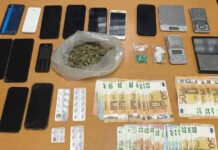 Σέρρες: Σπείρα έκανε διακίνηση ναρκωτικών – Τους «ξετρύπωσε» η Roxy της ΕΛΑΣ