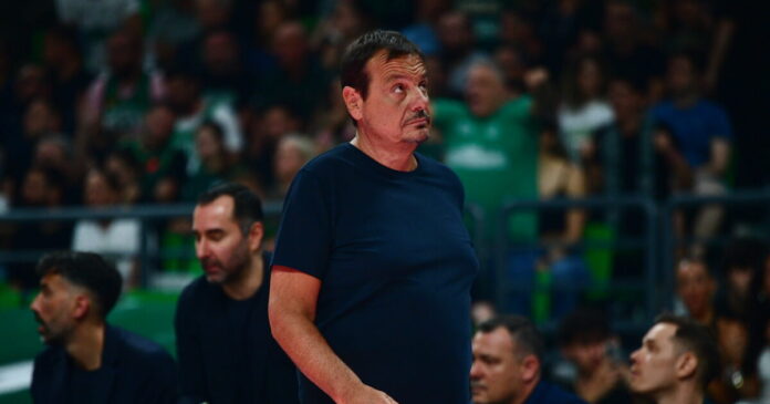 ataman-3-1200x630.jpg