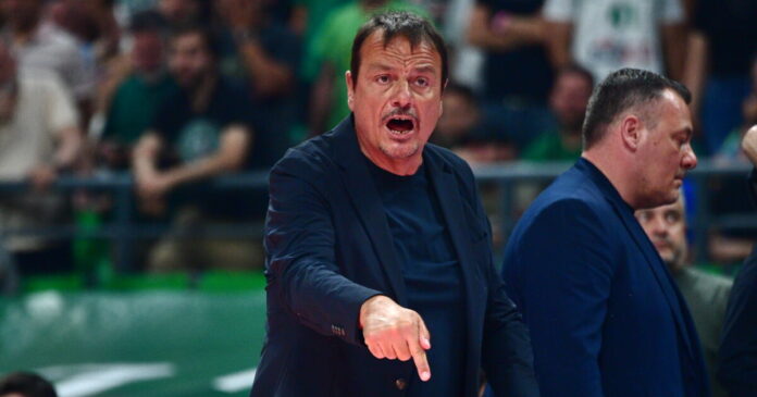 ataman-6-1200x630.jpg