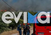 Φωτιά στα Εύβοια: Καίγεται δάσος κοντά στα Μεσοχώρια – Ήχησε το 112 και συνδράμουν 9 εναέρια μέσα