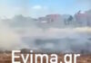 Εύβοια: Συνελήφθη 50χρονος για τη φωτιά κοντά σε σπίτια στη Νέα Αρτάκη