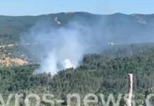 Φωτιά στον Έβρο σε δασική έκταση στο Μέγα Δέρειο