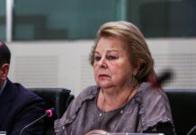 Συνεργασία ΠΑΣΟΚ και ΕΛΑΣ προτείνει η Λούκα Κατσέλη: «Θα χρειαστεί ούτως ή άλλως»