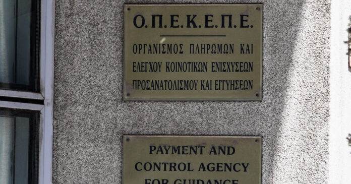 opekepe-3-1200x630.jpg