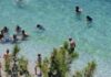 Καιρός: Νέα άνοδος της θερμοκρασίας σήμερα με 35 βαθμούς Κελσίου – Στους 35,3°C «ψήθηκαν» τα Τρίκαλα το Σάββατο