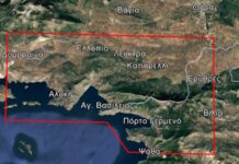 Φωτιά στην Βοιωτία: Ενεργοποίηση της υπηρεσίας Copernicus – Άμεση χαρτογράφηση των περιοχών