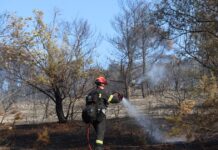 Πρέβεζα: Έκαιγαν παλέτες, «λαμπάδιασαν» 25 στρέμματα και βρέθηκαν με χειροπέδες – Σύλληψη και στη Χαλκιδική για εργασίες με τροχό που προκάλεσαν πυρκαγιά